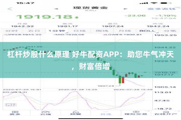 杠杆炒股什么原理 好牛配资APP：助您牛气冲天，财富倍增