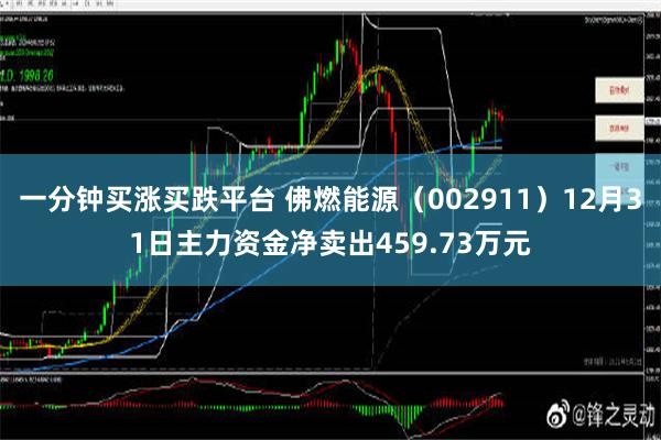 一分钟买涨买跌平台 佛燃能源（002911）12月31日主力资金净卖出459.73万元