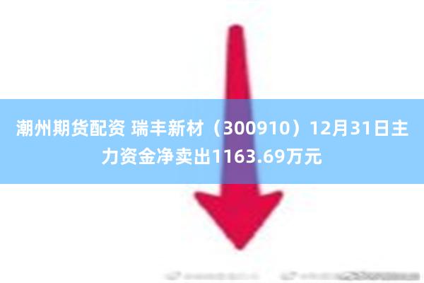 潮州期货配资 瑞丰新材（300910）12月31日主力资金净卖出1163.69万元